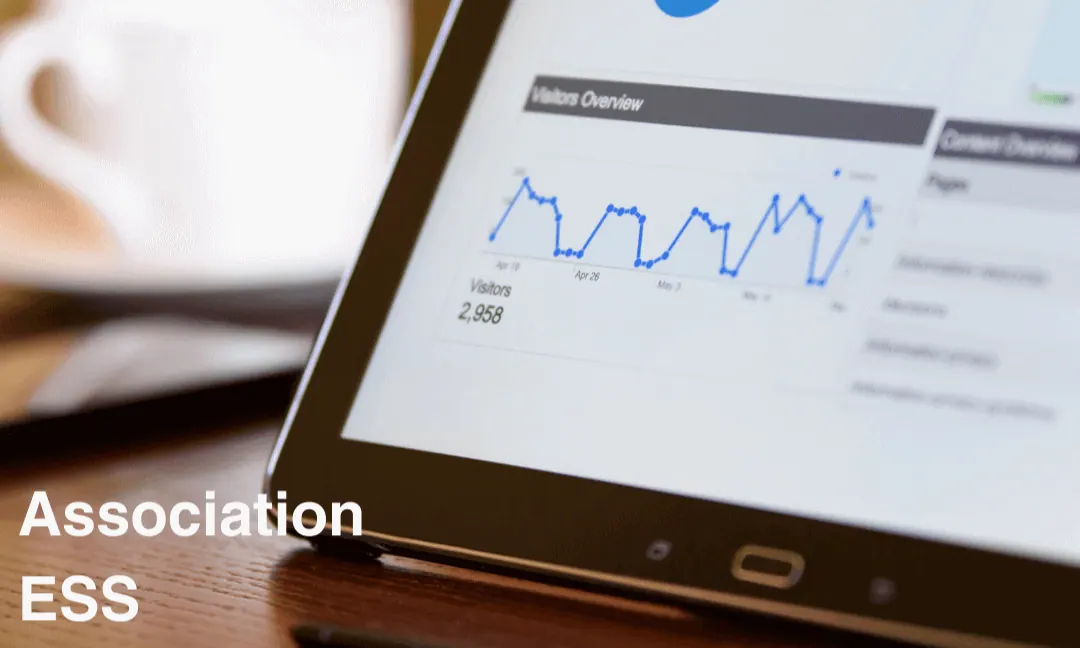 Infographie expliquant le SEO pour association : étapes de recherche de mots-clés, SEO on-page, SEO local et technique.