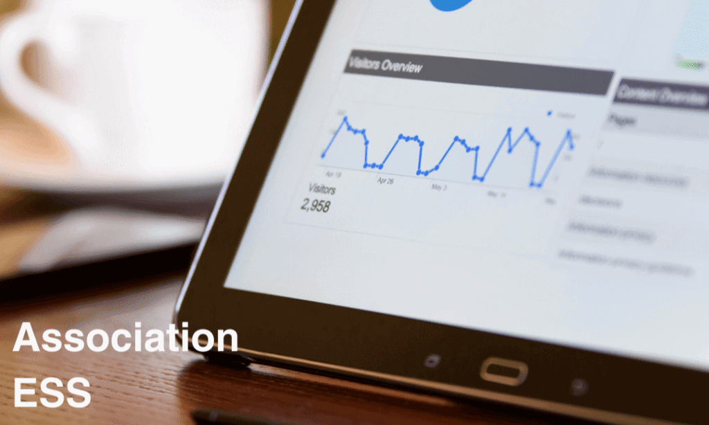 Optimisez votre site web : guide complet pour les associations et Entreprises Sociales